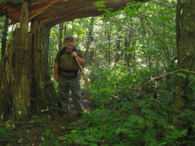 Rat Patrol 
Living dangerously...beneath huge fallen tree on Coldspring Mountain,
September, 2010


