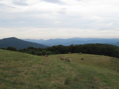 View From Max Patch
descending on the northern side...
on the Appalachian Trail, 
September, 2010 
