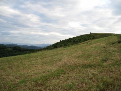Max Patch
on the Appalachian Trail, 
September, 2010 

