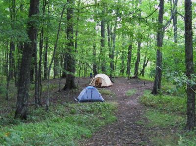 Camp-Site Near Max Patch
on the Appalachian Trail, 
September, 2010 
