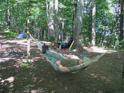 Camp-Site Near Max Patch
Rat enjoys some hammock time before hiking to Walnut Mountain...
on the Appalachian Trail, 
September, 2010 
