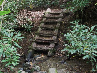 Old Stairs
...in the Roaring Fork,
on the Appalachian Trail, 
September, 2010 
