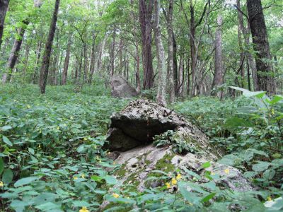 Ascending Bluff Mountain
Interesting Boulders along  the Appalachian Trail, 
September, 2010
