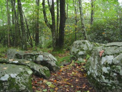 View from Bluff Mountain
from the summit rocks...
elevation, 4,686
September, 2010
