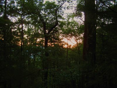 Sunrise/ Day 5
At the campsite below Lamb Knob.
September, 2010
