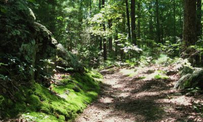 Appalachian Trail
Trail to Hot Springs, NC
September, 2010
