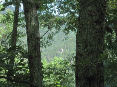 Lover's Leap
...as seen from across the French Broad River Gorge on Deer Park Mountain,
September, 2010
