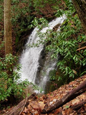 Middle Simmons Branch Falls
Upper tier of middle falls.
Rich Mountain, 
12-26-2015
