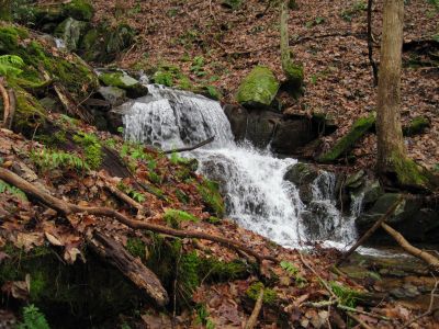 Cascades on Simmons Branch
Rich Mountain, 
12-26-2015

