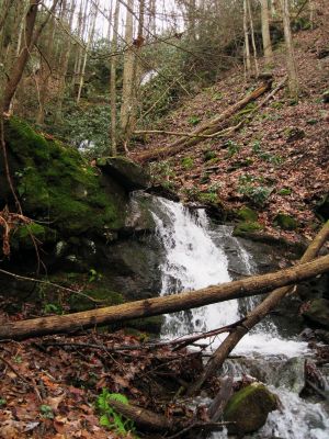 Small Waterfall
Just just below the Upper Falls 
(can see part of the upper falls above them).
Rich Mountain, 
12-26-2015
