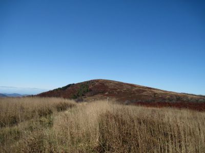 View From Big Stamp
The Summit of Big Bald (as seen from the Northern side), elevation 5516'

Big Bald Mountain
October, 2010
