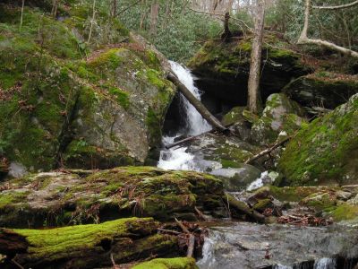 Hidden Falls
Higgins Creek, 
1-1-2016
