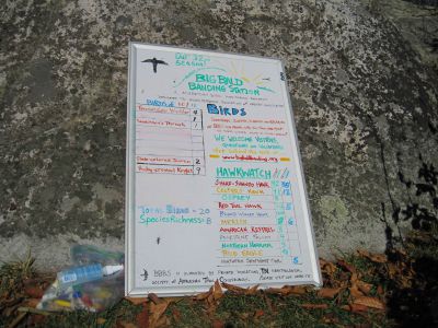 The Big Bald Banding Station
Actually, the Bird Banding Station is on 'Big Stamp', near Big Bald.
Big Bald Mountain
October, 2010

