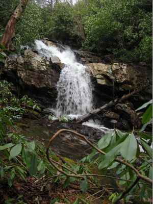 Upper Falls on Higgins Creek
Higgins Creek, 
1-1-2016
