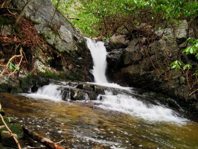Small Waterfall
Higgins Creek, 
1-1-2016
