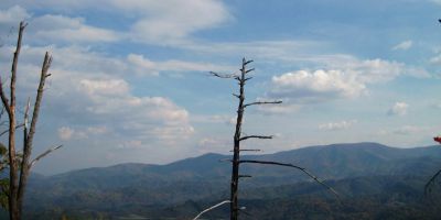 View From Whitehouse Mountain
The Bald Mountains in the distance
(the Appalachian Trail follows the ridge-crest)
Rocky Fork, October, 2010
