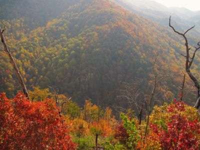 View From Whitehouse Mountain
The cliff's edge of Flint Mountain across the valley,
Rocky Fork, October, 2010
