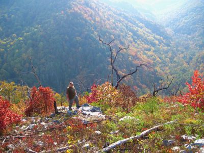 Whitehouse Mountain 
Rat stands on edge of mountainside,
Flint Mountain Cliffs across the valley,
Rocky Fork, October, 2010
