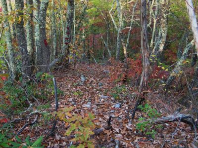 Whitehouse Mountain Trail
Rocky Fork,
October, 2010
