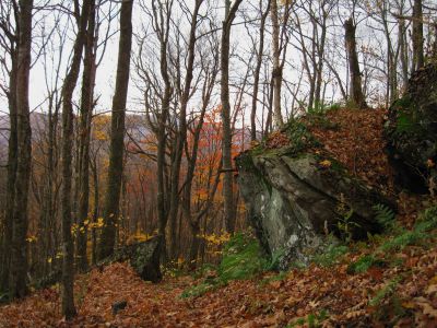 Unaka Mountain
Autumn Scenery,
October, 2010

