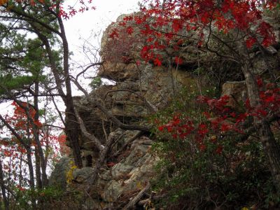 Sill Branch Overlook
Profile of the 'Sphinx Rock' overlook from below...
10-31-2013
