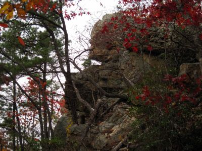 Sill Branch Overlook
Profile of the 'Sphinx Rock' from below...
10-31-2013
