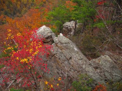 View From Overlook
'Bird Rock' and 'Snake Head Rock',
Sill Branch Overlook,
10-31-2013
