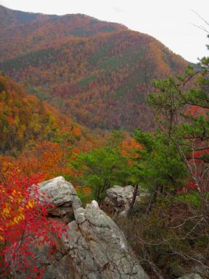 View From Overlook
Sill Branch Overlook,
10-31-2013
