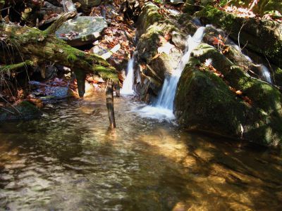 Long Branch
Cascades
November, 2010
