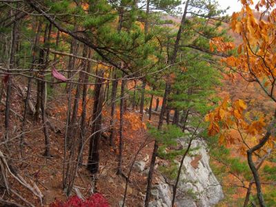 Cliff's Edge
Sill Branch Overlook,
10-31-2013
