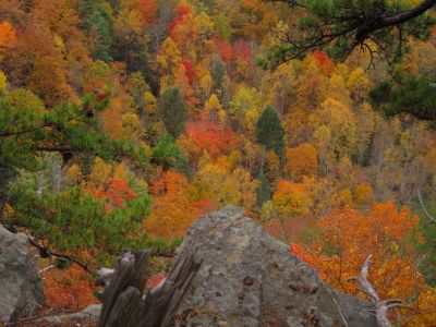 View From Cliff's Edge
Sill Branch Overlook,
10-31-2013
