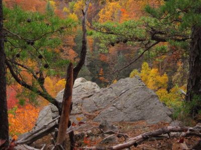 View From Cliff's Edge
Sill Branch Overlook,
10-31-2013
