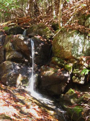 Long Branch Falls
Middle set of falls on Long Branch in Rocky Fork.
November, 2010
