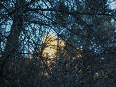 'Stonehenge' Cliffs
(as seen from below) as the Sunlight was beaming off them while setting in the Flint Gap, 
November, 2010
