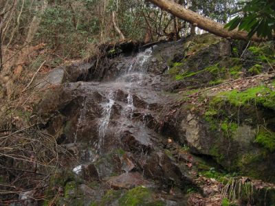 Unnamed Falls
Cherokee National Forest
April, 2018

