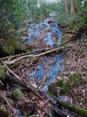 Longarm Branch
Upper Falls 
November, 2010
