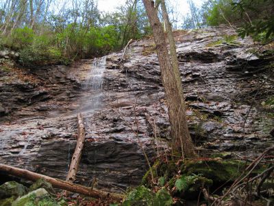 Wilderness Falls
November, 2010
