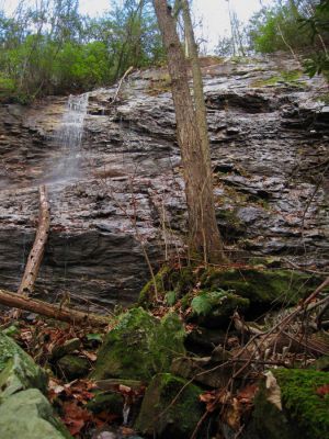 Wilderness Falls
In the Sampson Wilderness
November, 2010
