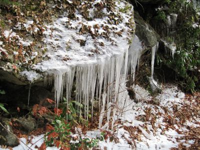 Icicles
Rocky Fork
December, 2010

