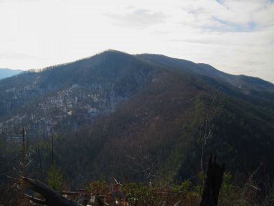 View From Whitehouse Mountain
The blunt-end of Flint Mountain
Rocky Fork
December, 2010


