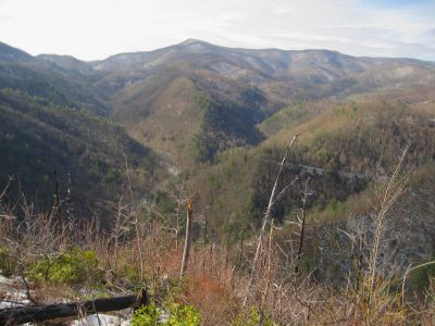 View From Whitehouse Mountain
Rocky Fork
December, 2010
