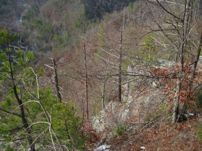 Whitehouse Mountain Cliffs
...more cliff tops.
Rocky Fork
December, 2010
