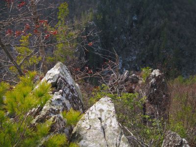 Whitehouse Mountain Cliffs
Starting to get some serious vertigo--
sheer drop ahead.
Rocky Fork Area,
December, 2010
