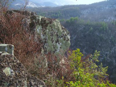Whitehouse Mountain Cliffs
The boulder on the edge...
Rocky Fork Area,
December, 2010
