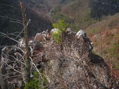 Whitehouse Mountain Cliffs
View from Cliff edge.
Rocky Fork Area,
December, 2010
