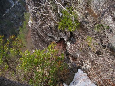 Whitehouse Mountain Cliffs
Vertigo...
View from Cliff edge.
Rocky Fork Area,
December, 2010
