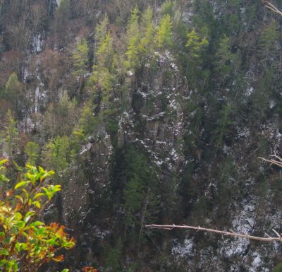 Whitehouse Mountain Cliffs
View from Cliff edge, Flint Mountain cliffs across the valley...
Rocky Fork Area,
December, 2010
