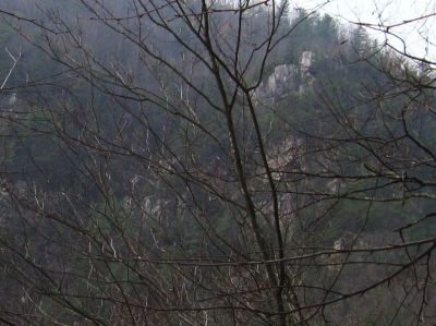 Cliffs
On Black Mountain,
12-18-2010
