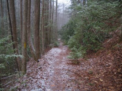 Longarm Branch Trail
with snow...
1-5-2011
