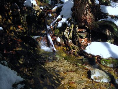 Cascades
On Oglesby Branch,
Near Spivey Gap,
1-29-2011
